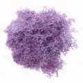 Purple preserved moss for micro landscape DIY background wall home decor crafts supply 60g - Taro Purple
