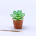 Détail de plante grasse artificielle miniature en gros plan pour décoration de maison de poupée. - Vert