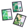 Miniature cadre photo plante pour maison de poupée décor, illustration botanique art. - Ensemble 3 pièces plantes vertes