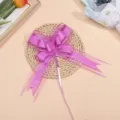 Détail de nœud papillon en fil de neige violet, ruban décoratif pour cadeaux et voitures. - Orchidée