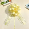 Dettaglio fiocco in nastro trasparente giallo, elegante decorazione floreale regalo - Giallo