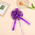 Detailed close-up of a large purple pull bow with gold edges for gift and flower wrapping. - 10 Strands Pack / Purple