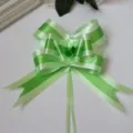 Groene gestreepte lintstrik cadepakket strik voor huwelijksauto feestdecoratie - 100 stuks verpakking / Groen Rechte Strip