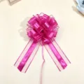 Close-up detail of hot pink gift pull bow, mesh and satin ribbon for holiday packaging. - 10 Pieces Set / Rose Red