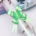 Green pull bow ribbon for gift wrapping, decorative bow for flower bouquet and holiday present packaging. - Fruit Green With Gold Edge