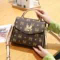 Borsa a tracolla stampata marrone da donna elegante con manico e decorazione in metallo. - Stile M / Caffè