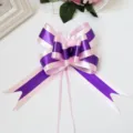 Paars en roze gestreepte strik cadeau lint voor trouwauto en bloemenverpakking decore. - 100 stuks verpakking / Paars Rechte Strip met Roze Rand