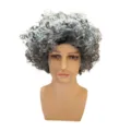 Grey short curly wig for women, fluffy afro style hairpiece for party costume cosplay wear. - Short Curly Hair (CX-4404) / Gray White Explosion Wig