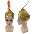 Goldener metallic Turban Hut mit orangefarbener Feder und rotem Edelstein Kostüm - Goldener Hut / Gold