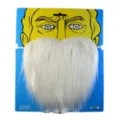 Halloween finta barba bianca lunga accessorio costume con carta personaggio per grande festa - Taglia unica / Barba Finta Bianca Grande