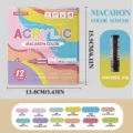 Μαρκαδόρος ακρυλικός 12 χρωμάτων macaron, υγρό πινέλο μελάνης για τέχνη DIY χειροτεχνίας. - 12 χρώματα μακαρόν