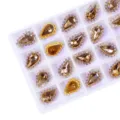Strass goccia cristallo vetro cucire retro piatto diy capelli scarpe abbigliamento accessori - 50 Pezzi/Confezione / Champagne Dorato
