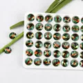 10mm round pointed bottom gradient crystal rhinestones for nail art DIY accessories craft decor - 10mm 10 Pieces/Pack / Color Code 24
