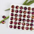 10mm round pointed-back crystal rhinestones gradient color DIY nail art accessories pack - 10mm 10 Pieces/Pack / Color 05