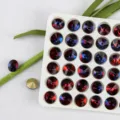 10mm round pointed back crystal rhinestones gradient DIY nail art decorative gems - 10mm 10 Pieces/Pack / Color 04