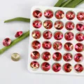 10mm Round Pointed Back Crystal Rhinestones Red Gradient DIY Nail Art Gemstone Decor - 10mm 10 Pieces/Pack / Color 28