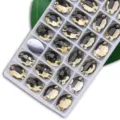 Ovale zum Annaehen Glas-Kristall-Strasssteine mit zwei Loechern fuer DIY Kleidung. - 18 Kaffee (Kristallgelb) / 7*10 mm, 72 Stück/Packung