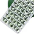 Strass cristalli triangolari verde chiaro da cucire con dorso piatto per accessori di abbigliamento. - Verde Frutta