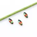 7x15mm strass cristal marquise avec griffes dorées, pierres de fantaisie multicolores. - 10 Pièces/Paquet / Dégradé