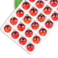 Round dual hole red glass sew on rhinestones crystals for DIY garments clothing decor - 18mm 20 Pieces/Pack / Bright Red