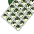 Light green round glass sew-on rhinestones double hole crystal buttons for clothing and crafts. - 14mm 28 Pieces/Pack / Fruit Green