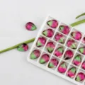 Strass a Goccia Sfumato Rosa Verde 13x18mm Cristallo Fondo Puntinato per Decorazione Fai - Confezione da 10 Pezzi / 18