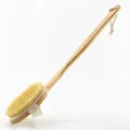 Brosse de bain en bois à long manche poils naturels gommage corps dos douche brosse vue - Brosses en poils de sanglier amovibles
