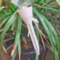 Automatic plant watering spike variant, white plastic drip irrigation device for home garden pots. - 1 Piece Cream White