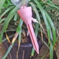 Automatic plant watering spike for indoor potted plants, self-watering device with control valve. - 1 Pink