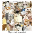 50pcs transparent funny cat meme stickers waterproof cute cartoon animal decal pack for laptop - Funny Cat Memes / 50 Sheets / Clear