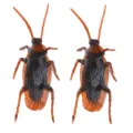 Realistic fake cockroach toys simulation creepy insect prank props for April Fools 2pcs - Bulk (1 Piece)