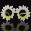 Occhiali da sole per feste a margherita novità per bambini adulti foto di compleanno. - Stile Girasole / Bianco