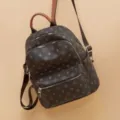 Zaino marrone elegante con monogramma da donna, zainetto casual per viaggi e lavoro quotidiano. - Caffè (tessuto aggiornato)