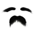 Set di barba e sopracciglia finte nere, accessorio per costume da festa di Halloween adesivo. - Taglia unica / Set Sopracciglia + Barba / Nero