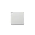 Stainless steel blank square pet ID tag, perfect for DIY engraving, smooth metal finish. - Square / Silver