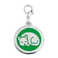 Placa de identificacion para mascotas de acero con gato dormido esmalte verde y gancho. - 2.5cm / Verde