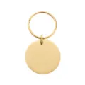 Gold blank round pet ID tag with keyring, perfect for custom engraving and anti-lost collars. - Gold