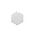 Stainless steel hexagonal pet tag blank for dog cat collar ID engraving accessories SKU - Hexagon / Silver
