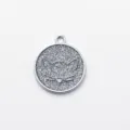 Colgante de gato con purpurina plateada, bonita etiqueta de identificación de resina, metal. - Diámetro: 2,5 cm / Plateado con purpurina (sin grabado)