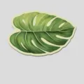 Monstera leaf diatomite bath mat, absorbent non-slip floor mat for bathroom, 60x40cm - 40*60cm / Greenery 60_40cm (Shower Door Mat)