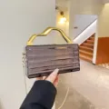 Borsa a mano rigida in acrilico trasparente con manico dorato geometrico e catena elegante per donna. - Stile 2 / Marrone