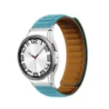 Silicone magnetic watch strap replacement compatible with smartwatch accessories - Watch 6/6 Classic / Silver Brown
