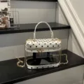 Bolso de mano rígido transparente de lunares con cadena dorada, bolso cruzado chic de verano. - Lunares Negros