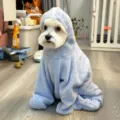 Cute dog bathrobe quick dry towel pet hooded clothes for bathing grooming puppy winter warm wear - [Bondi Blue] S (Chest 40cm, Back Length 30cm, Height 30cm) / Bondi Blue