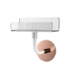 Soporte de pared para perchas con bandeja transparente estriada organizador balcón - Transparente