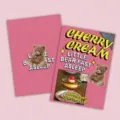 A5 portable American retro notebook with cute pink teddy bear design and inner pages. - Pink Pudding Bear