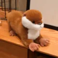 Simulation otter plush toy cute stuffed animal doll soft pillow desktop decor gift - Tan / 40CM