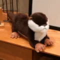 Simulation otter plush toy, cute stuffed animal doll, realistic brown soft pillow. - Dark Brown / 40CM
