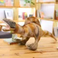 Peluche dinosauro realistico Spinosaurus animale di peluche morbido bambola regalo compleanno. - Stegosauro / 57cm