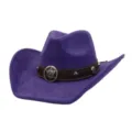 Detailed view of the purple suede cowboy hat featuring a brown decorative band and metal badge. - 58cm / Deep purple